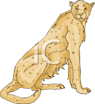 Cheetah Clipart