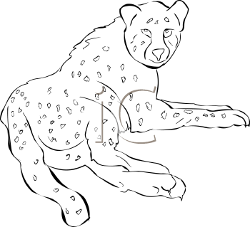 Cheetah Clipart
