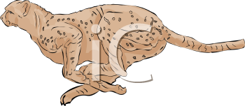 Cheetah Clipart