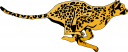 Cheetah Clipart