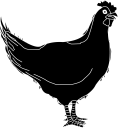 Chicken Clipart