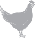 Chicken Clipart