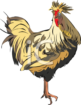 Chicken Clipart
