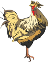 Chicken Clipart