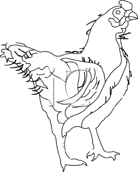 Chicken Clipart