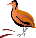 Chicken Clipart