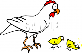 Chicken Clipart