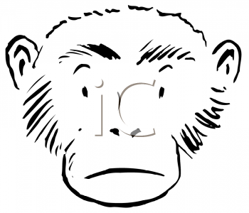 Chimpanzee Clipart