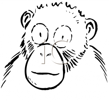 Chimpanzee Clipart