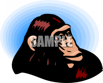 Chimpanzee Clipart