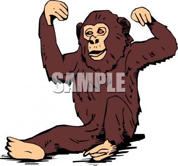 Chimpanzee Clipart