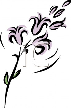 Lily Clipart