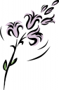 Lily Clipart