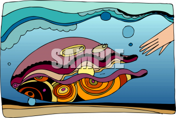 Clam Clipart