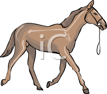 Horse Clipart