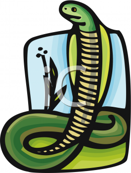 Snake Clipart