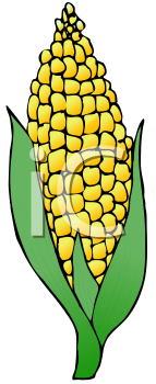 Corn Clipart