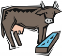 Cow Clipart