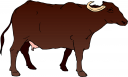 Cow Clipart