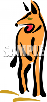 Coyote Clipart