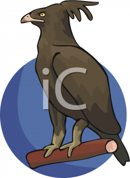 Eagle Clipart