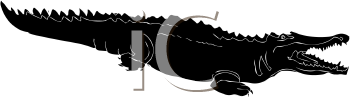 Crocodile Clipart
