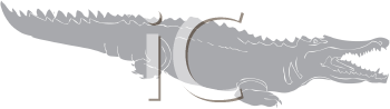 Crocodile Clipart