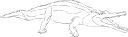 Crocodile Clipart