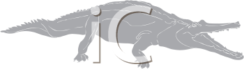 Crocodile Clipart