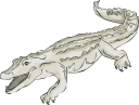 Crocodile Clipart