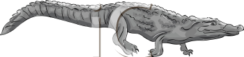 Crocodile Clipart