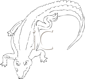Crocodile Clipart