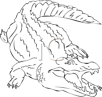 Crocodile Clipart