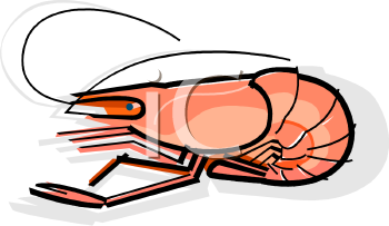 Shrimp Clipart