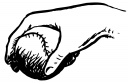 Baseball Clipart