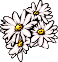 Daisy Clipart
