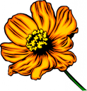 Daisy Clipart