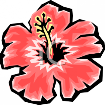 Daisy Clipart