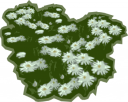 Daisy Clipart