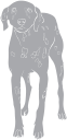 Dog Clipart