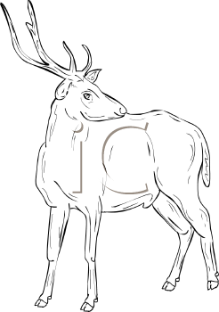 Deer Clipart