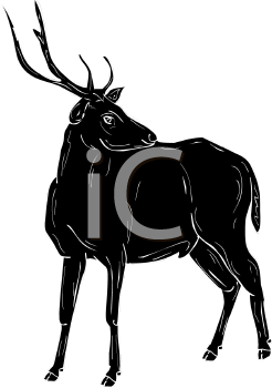 Mammal Clipart