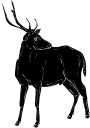 Mammal Clipart