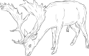 Mammal Clipart