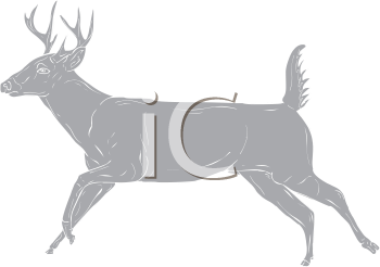 Deer Clipart