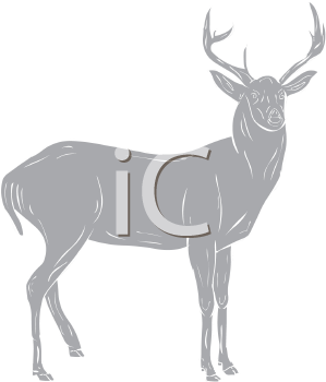 Deer Clipart