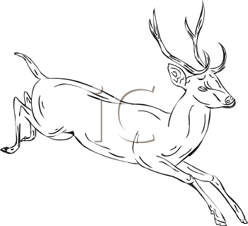 Deer Clipart