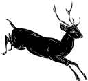 Deer Clipart