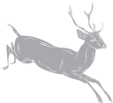 Deer Clipart