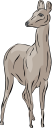 Deer Clipart
